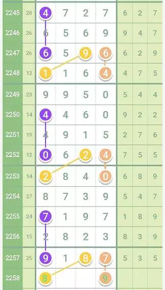 2019年特马生肖图，传统与现代交织的幸运符号