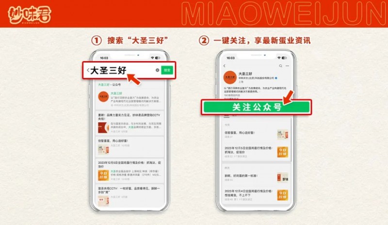 管家婆2023资料精准大全，解锁高效管理与生活新篇章