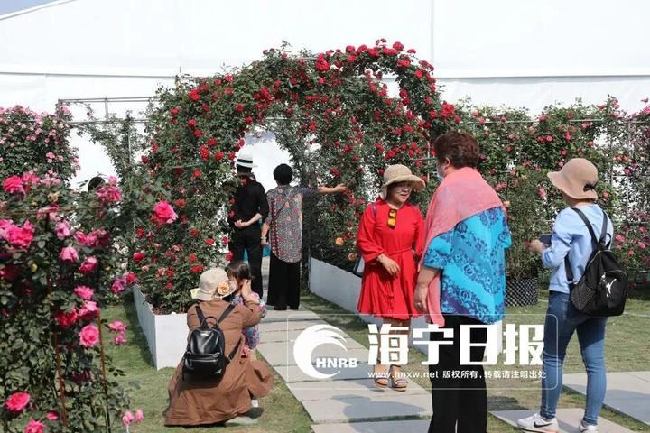 飞跃论坛，重塑知识交流的无限可能