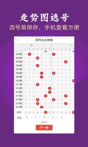七星彩精彩论坛，探索数字背后的智慧与乐趣