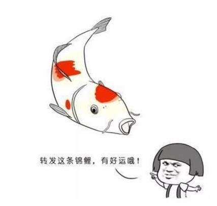 直播见证奇迹，香港开奖结果现场直播的魅力与意义