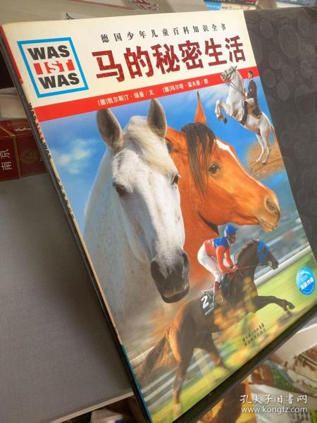 探索香港特马，揭秘资料大全的奥秘