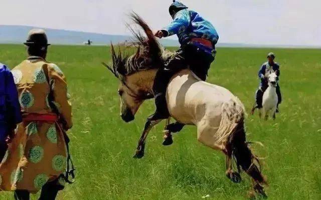 今日特马，探寻生活的小确幸