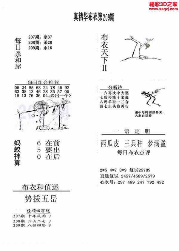 真精华布衣天下3D正版，重塑游戏体验的今日之选
