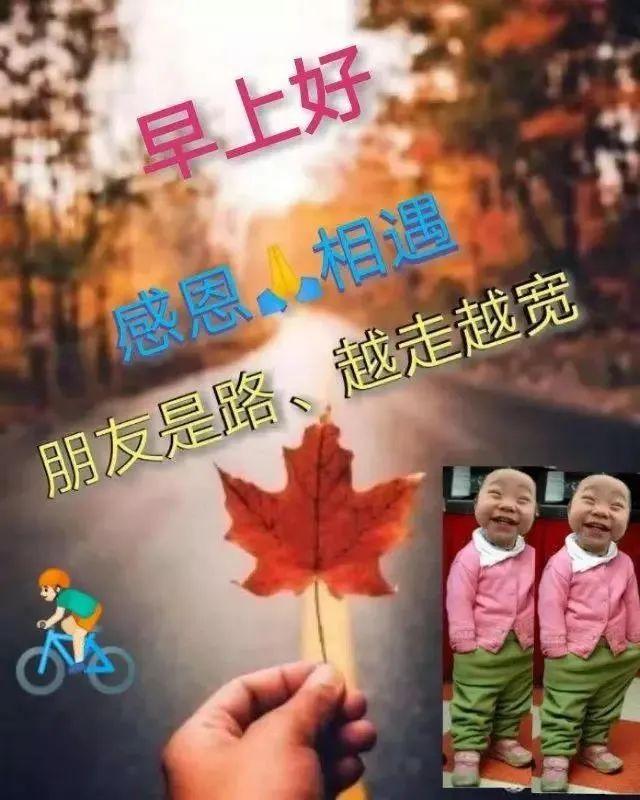 探索视觉盛宴，图库天下的无限魅力