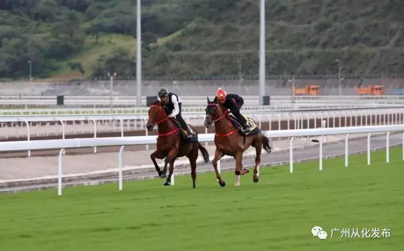 探索香港马会网站，一站式赛马与慈善平台