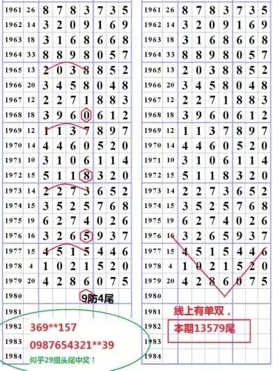 海南七星彩精彩论坛，探索数字彩票的乐趣与智慧