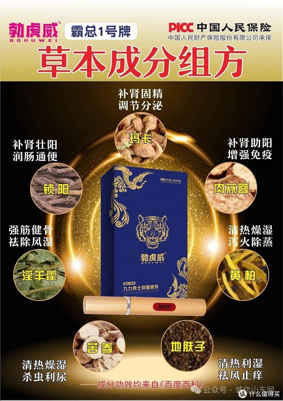 探索王中王资料大全，深度解析与正统资源指南