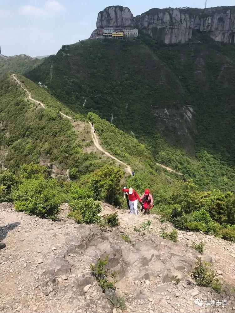 探秘红姐彩色图，色彩斑斓的视觉盛宴