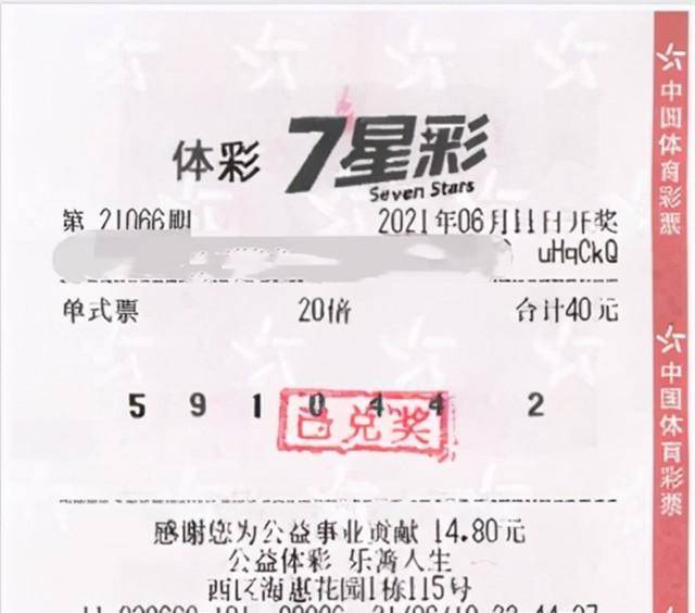 特区论坛与七星彩论坛，探索数字彩票的魅力与直播新体验