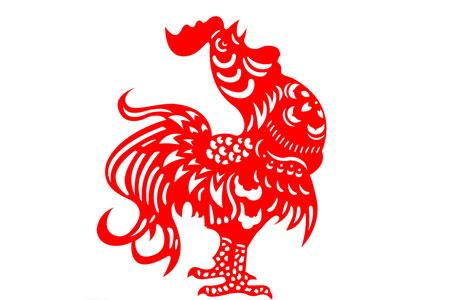 今晚开什么生肖，揭秘中国传统文化中的生肖彩票