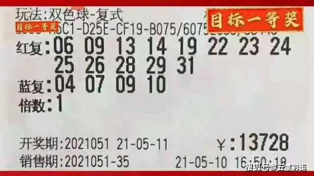 今晚特马，揭秘彩票背后的神秘与期待