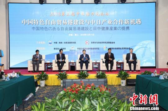 天天论坛，网络社区的活力源泉与知识共享的桥梁