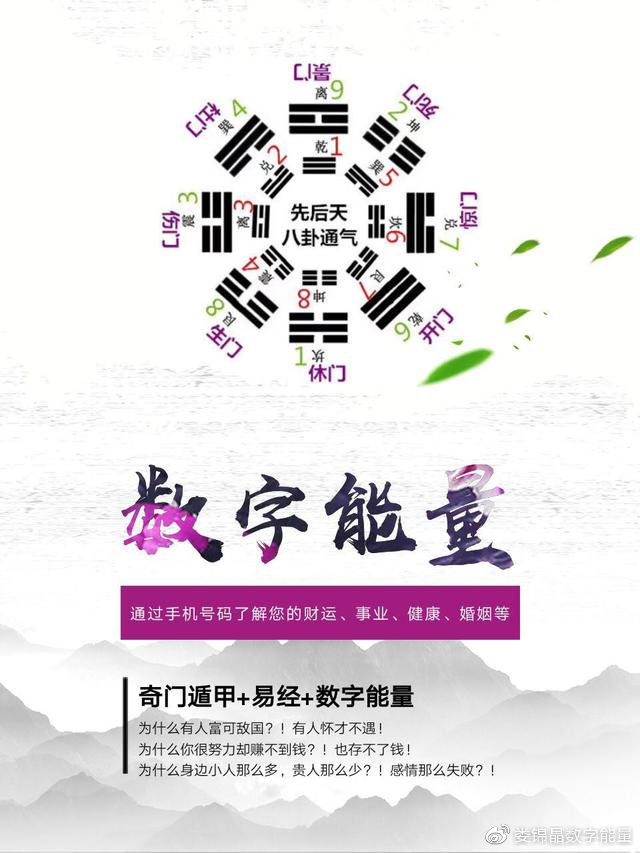 探索数字的奥秘，49579四不像908181的神秘之旅