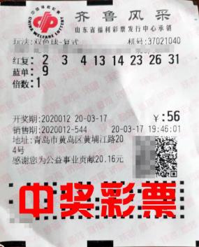 彩票走势图，专业分析助力理性购彩