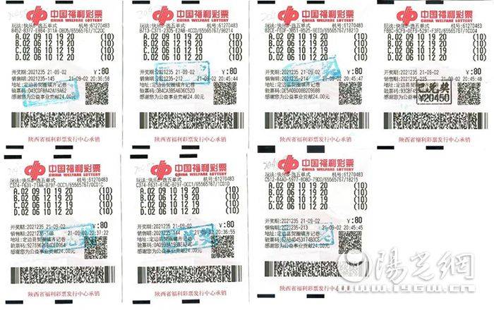 福彩3D新彩吧字谜图谜总汇大全，揭秘数字背后的智慧与乐趣