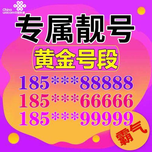 澳门一肖二码必中资料,揭秘背后的真相与警示澳门一肖一码100%澳门码