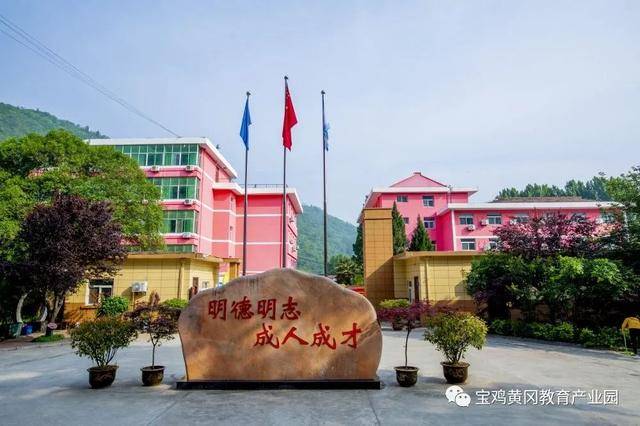 掌上高考网官方网，助力学子圆梦的智慧平台