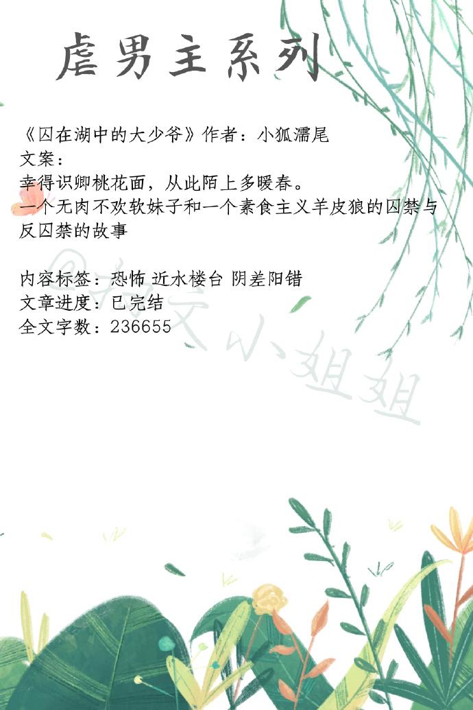 明月珰全部小说，古典韵味与现代情感的交织