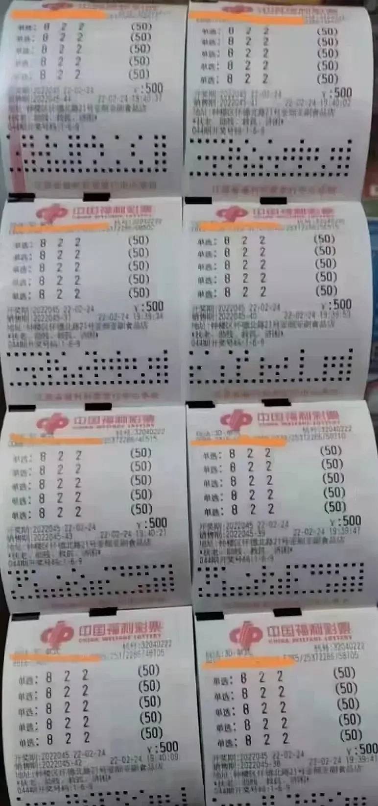 3D彩票，揭秘奖金背后的奥秘