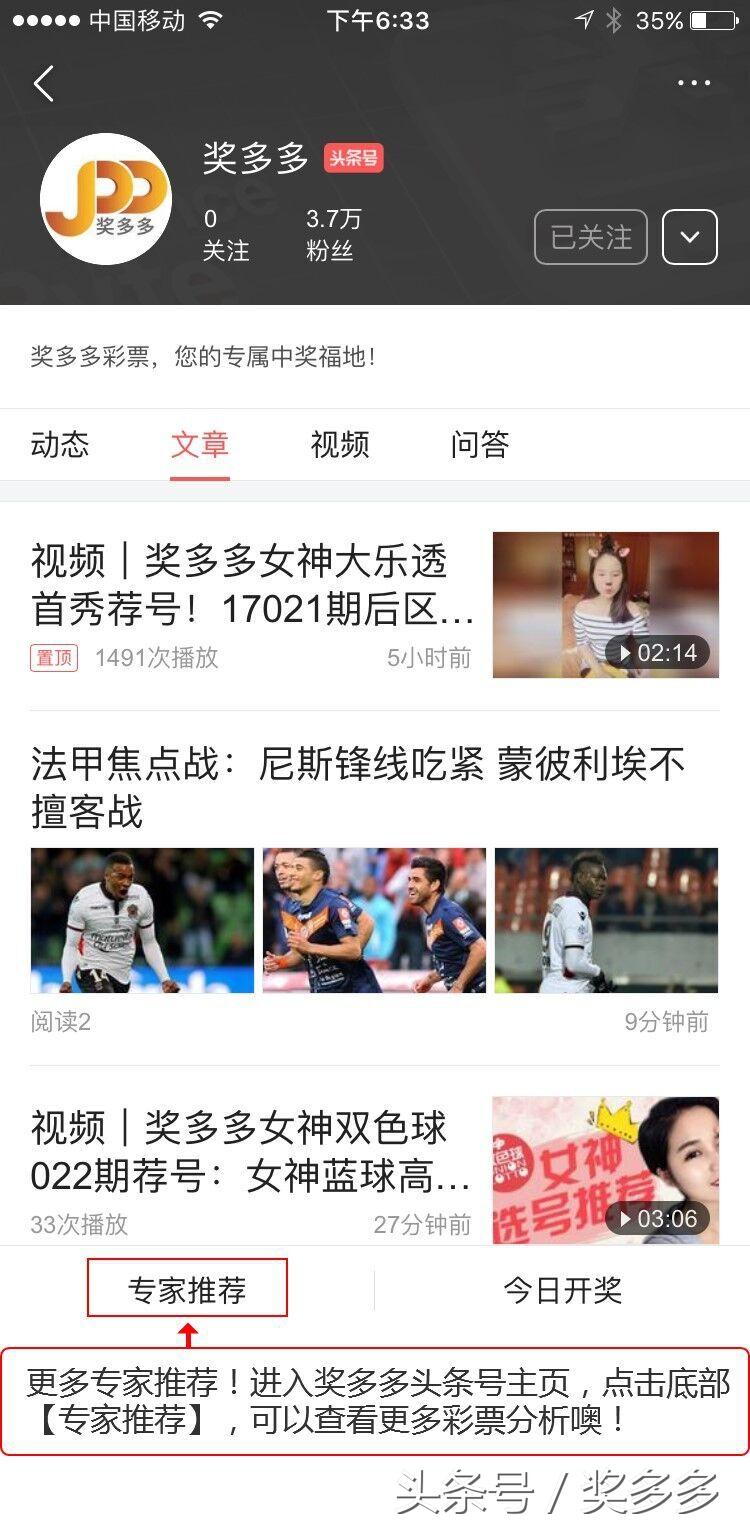 3D今日专家最新晒票，揭秘彩票背后的智慧与乐趣