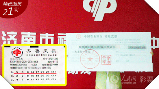 福彩走势图大全彩经网，揭秘彩票背后的数字奥秘