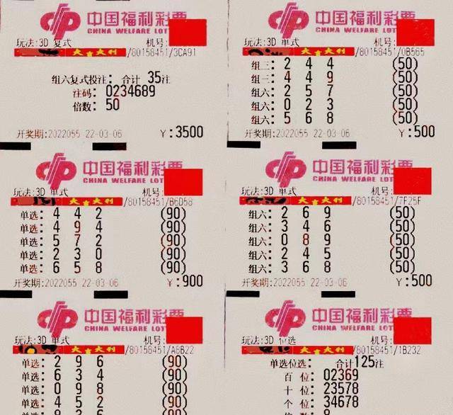 福利彩票2022055期中奖号码揭晓，梦想与幸运的交汇