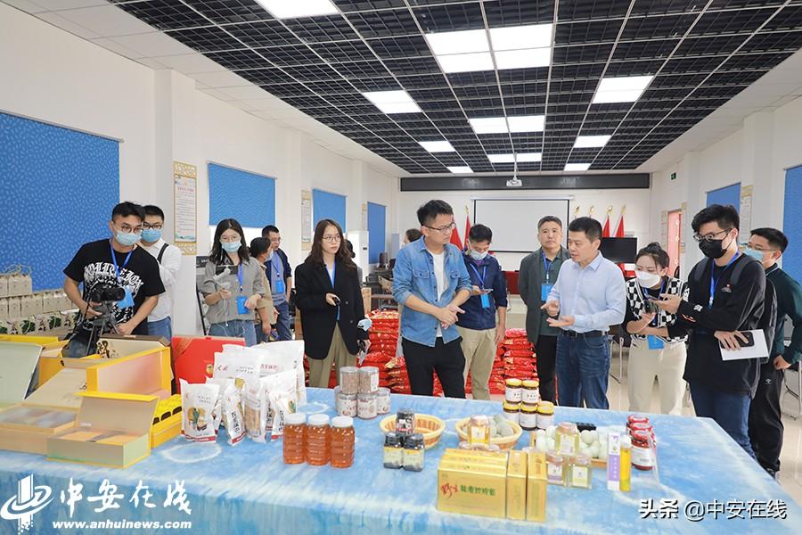 探索未来之城，太湖新城的3D魅力
