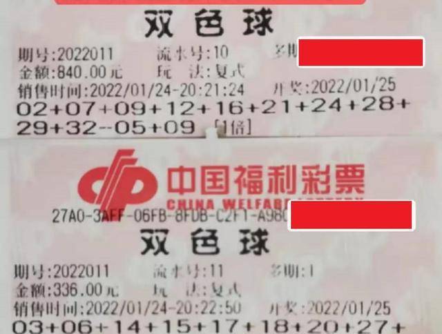 彩民阁彩票首页，梦想与现实的交汇点