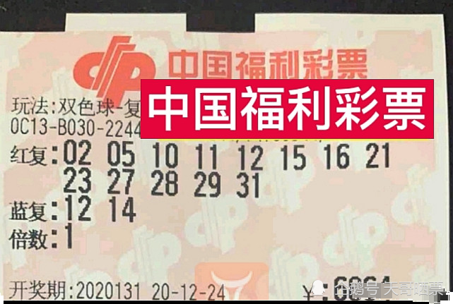 23073期双色球开奖结果揭晓，梦想与幸运的碰撞