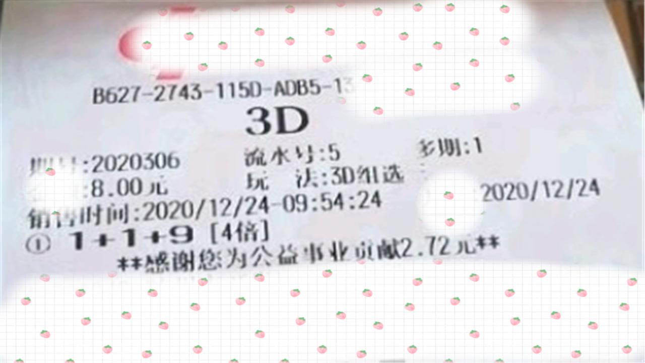 2019年299期3D开奖结果查询，揭秘数字背后的幸运与期待