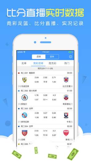 2024年澳门今期开奖结果查询，透明、便捷、安全的在线体验