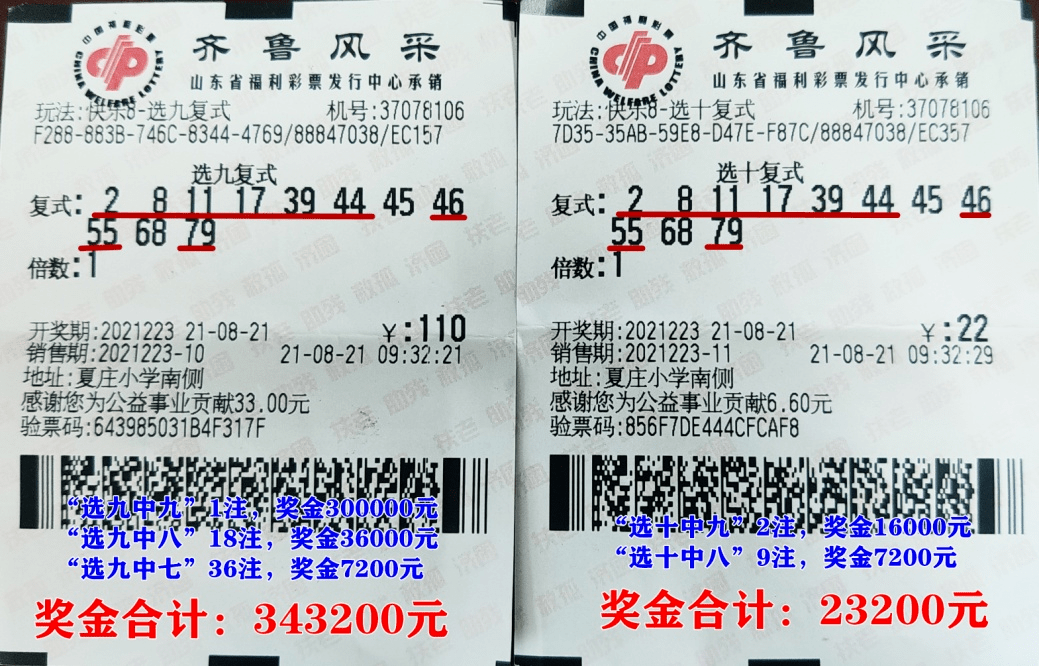 乐彩大胜寨双色球字谜，揭秘数字背后的智慧与乐趣