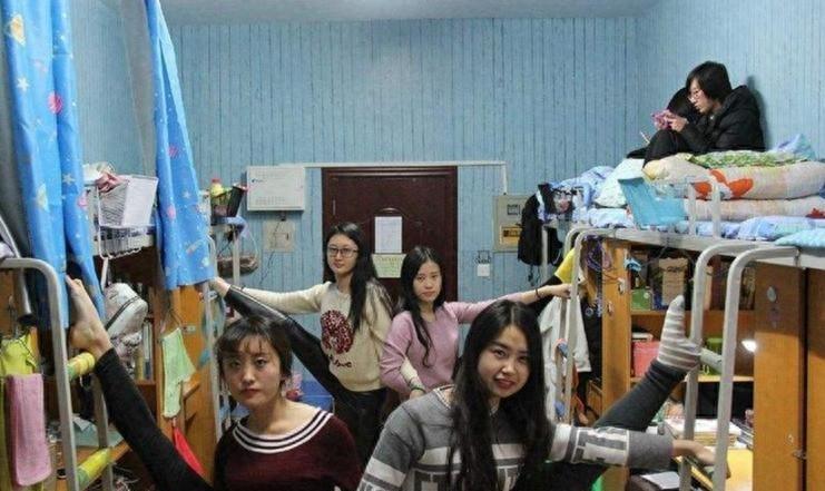 探索中国研究生教育的广阔天地，中国研究生网的功能与价值