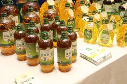 探索中国食用油市场，从传统到现代的网导油网变革