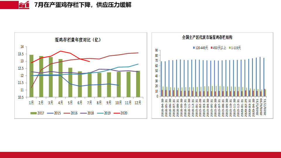 鸡蛋价格行情网，透视市场动态，把握消费脉搏