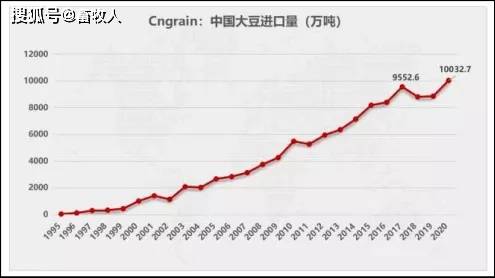 探索中国饲料行业与豆油的紧密联系，中国饲料行业信息网视角下的市场洞察