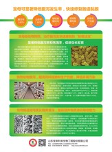 饲料厂家联系电话，如何高效获取与选择