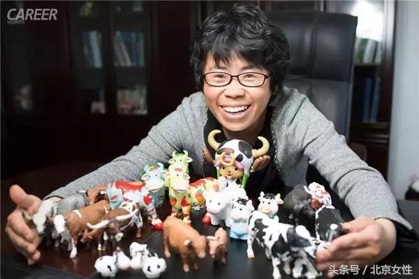 探索中国饲料工业的数字化未来，中国饲料工业信息网的角色与影响