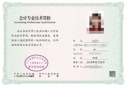 初级会计证书电子版查询，便捷、高效与安全的新时代选择