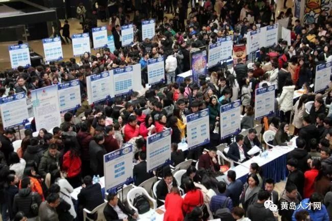 青岛，新春求职热潮下的最新招聘信息与就业指南