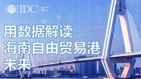 泊里信息港，数字时代的港口，连接未来的桥梁