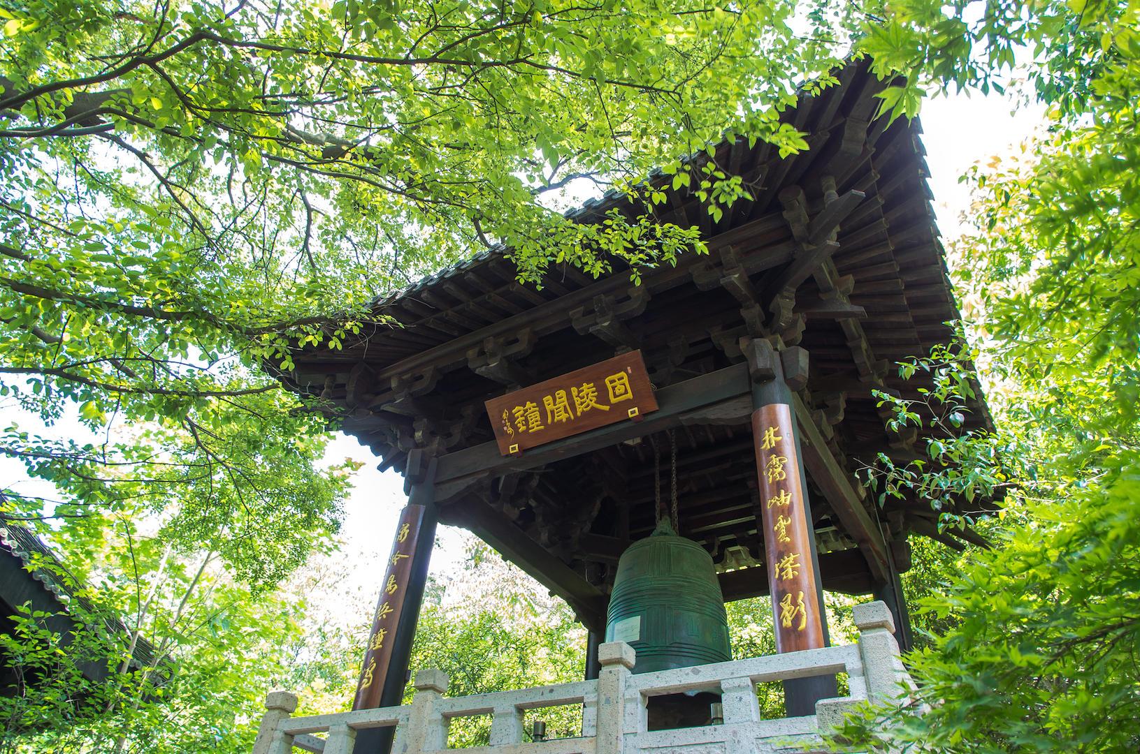 探索黄岛区胶南信息港，数字时代的智慧门户