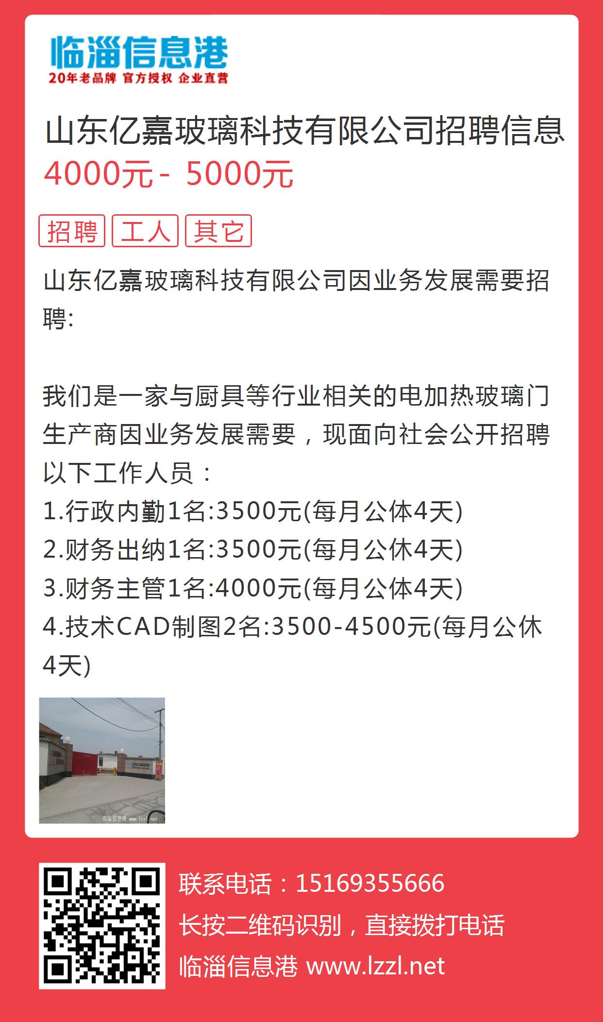 青岛信息港最新招聘，汇聚英才，共创未来