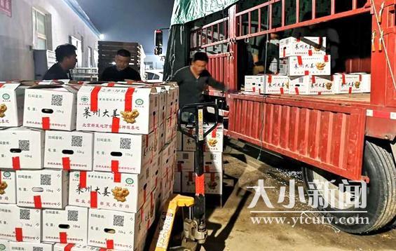 掌上莱州，汇聚本地智慧，点亮就业新篇章