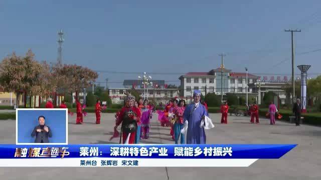 莱州新希望，开启乡村振兴新篇章的数字门户