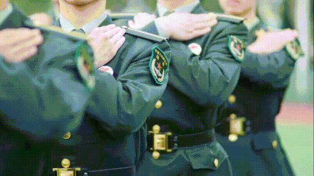 重庆招考网官网入口，考生与家长的信息宝库