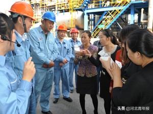 河北财政会计网官网，打造专业、便捷的财政会计信息服务平台