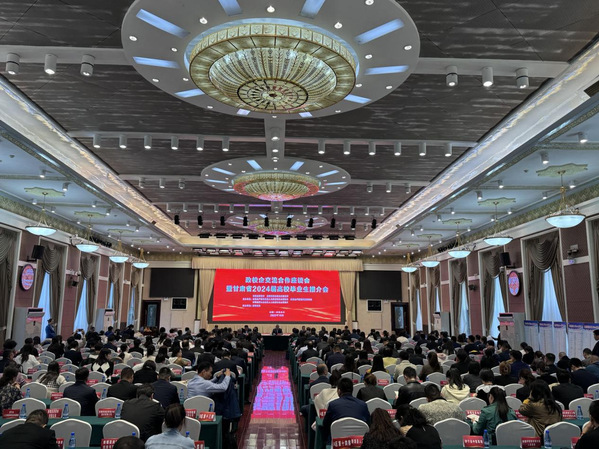 七台河市今日招工盛况，机遇与挑战并存的就业新篇章