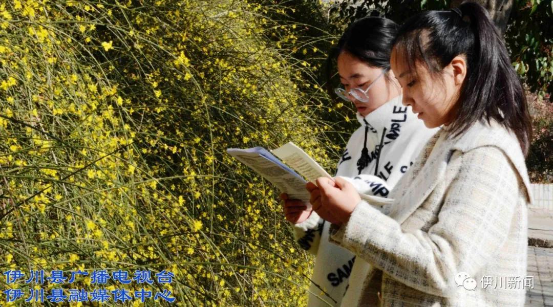 最新伊川县招聘信息汇总，把握机遇，共创未来